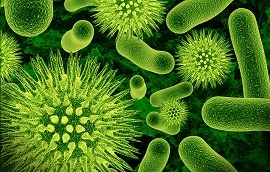 'Ancient' Bacteria Still Alive and Not Evolved