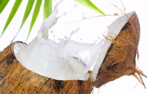 image of coconut and coconut milk