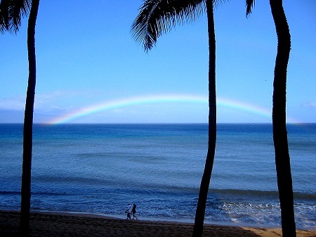 photo of couple walking on beach with coconut palms and rainbow