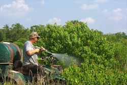 Agent Orange Soy: Just Another Day at USDA