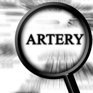 Statin Drugs Found To Accelerate Arterial Calcification