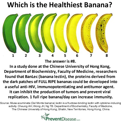 Why Bananas Are Good For Weight Loss and Immunity