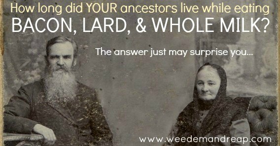 How long did YOUR ancestors live while eating BACON, LARD, & WHOLE MILK?