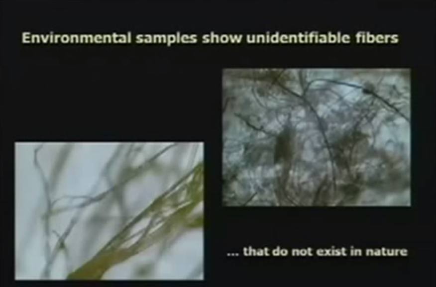 Fibers-that-do-not-exist-in-nature
