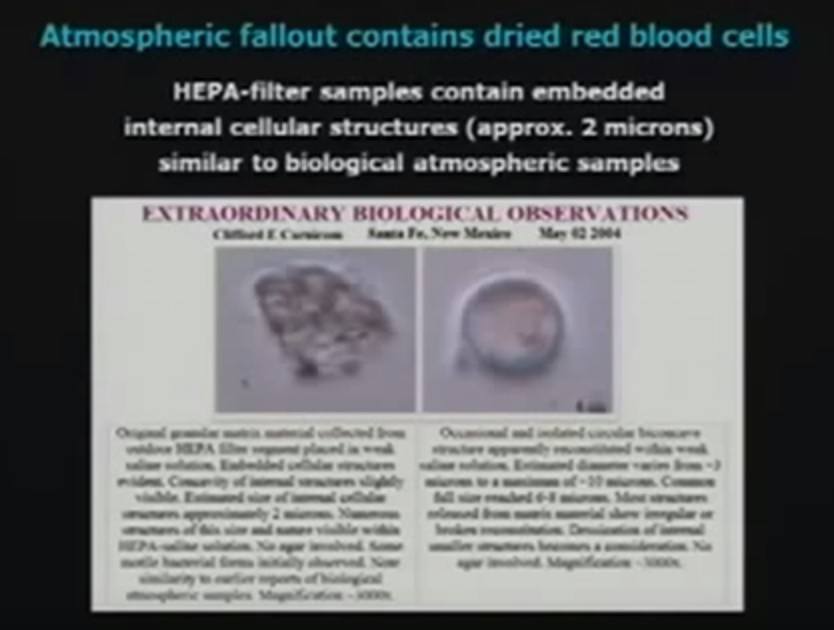morgellons-Atmospheric-fallout-contains-dried-red-blood-cells