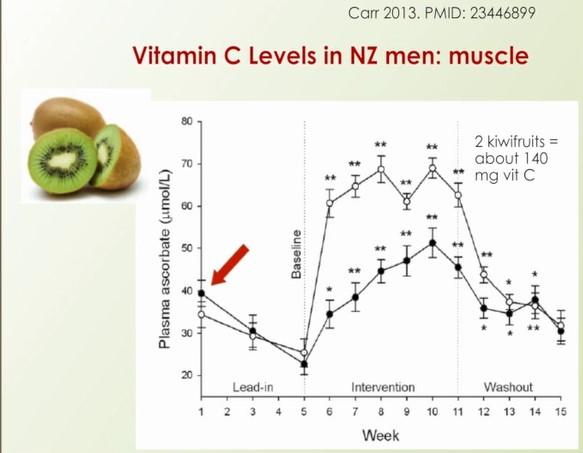 Vitamin C in muscle