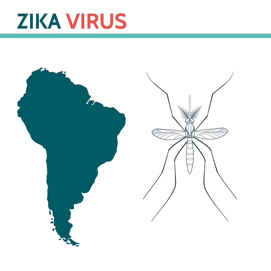 Zika Virus. Mosquito Aedes and South America. Infographic element.