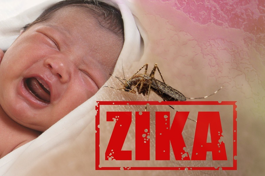 Health issue concept image of crying baby bitten by Aedes Aegypti mosquito as Zika Virus carrier