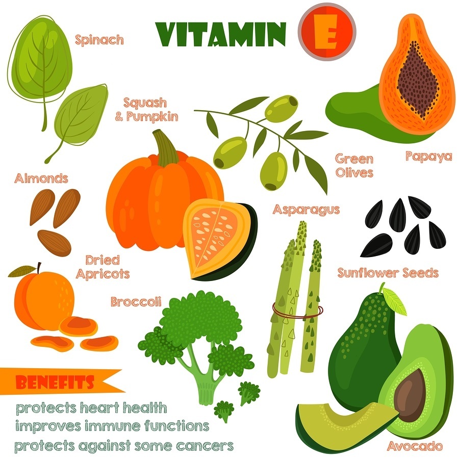 Vitamin E foods illustration.