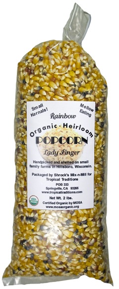 photo of Lady Finger Open Pollinated Rainbow Popcorn