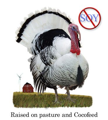 organic-pastured-coco-turkey