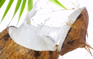 image of coconut and coconut milk