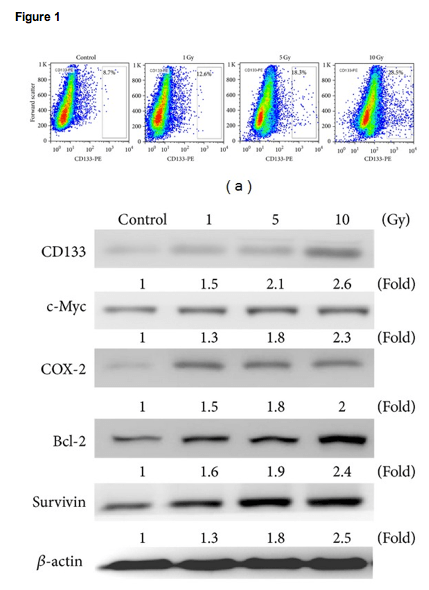 Screen Shot 2013-08-04 at 1_05_40 PM