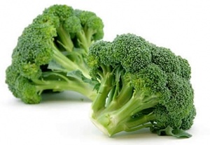 broccoli osteoporosis allergies effective