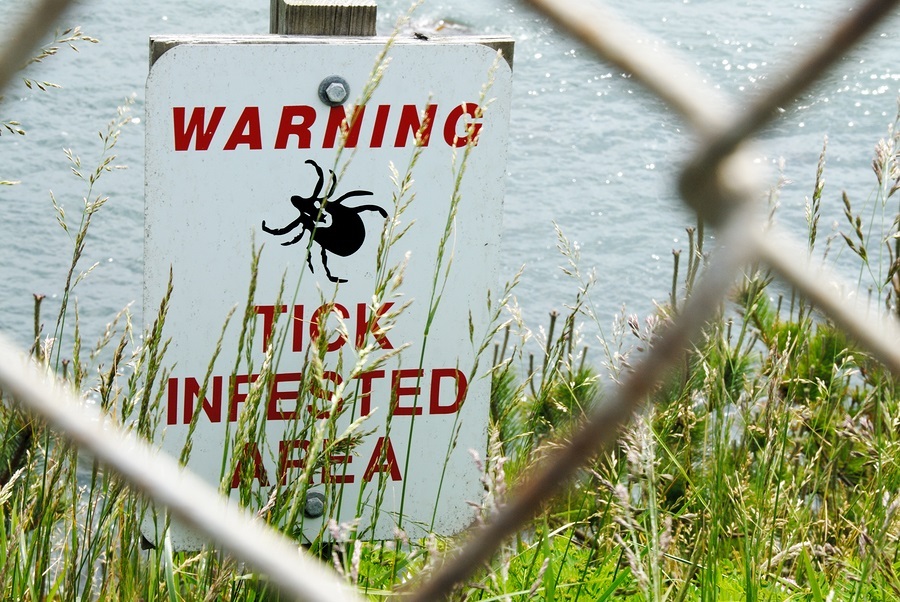 lyme-disease-tick-Warning-Sign