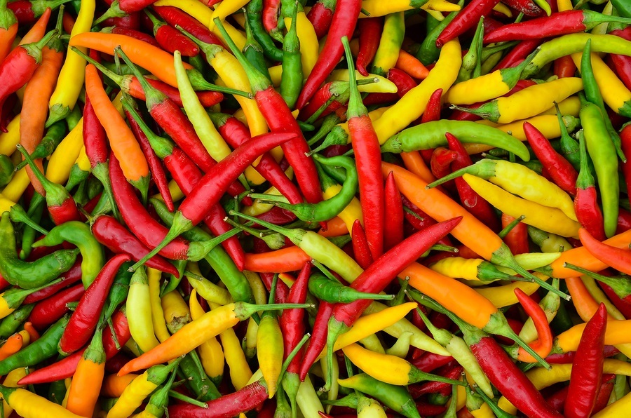 How Chili Peppers Can Be Used to Treat Pain