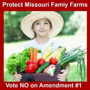 vote-NO-Amendment1