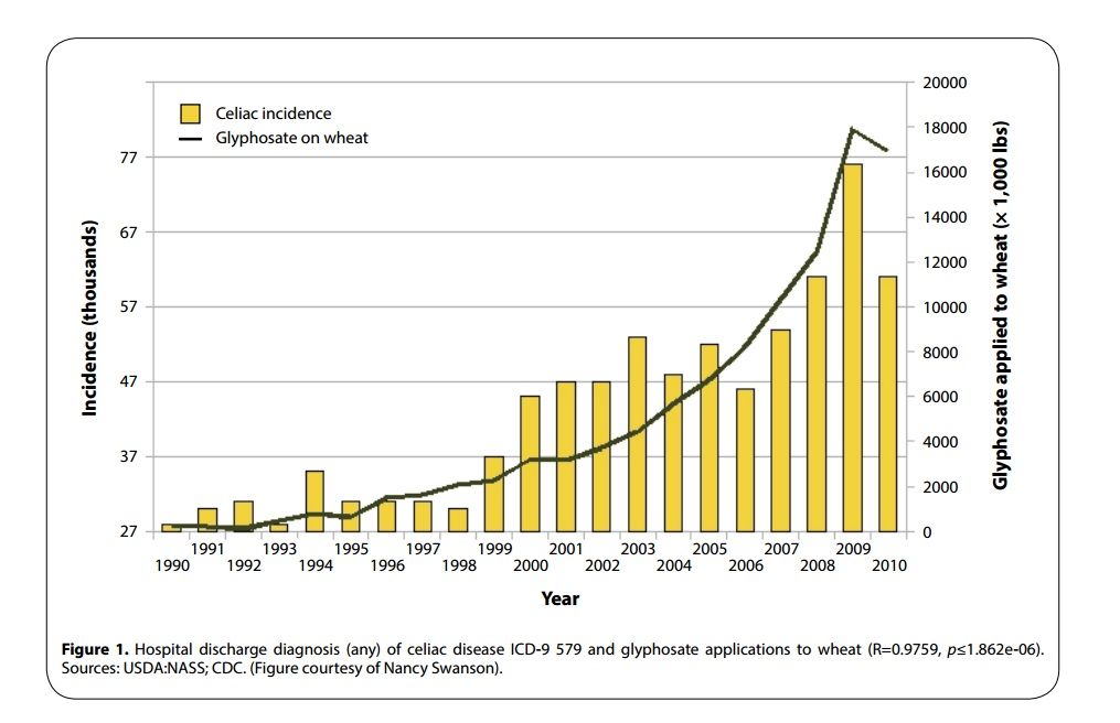 glyphosate-on-wheat