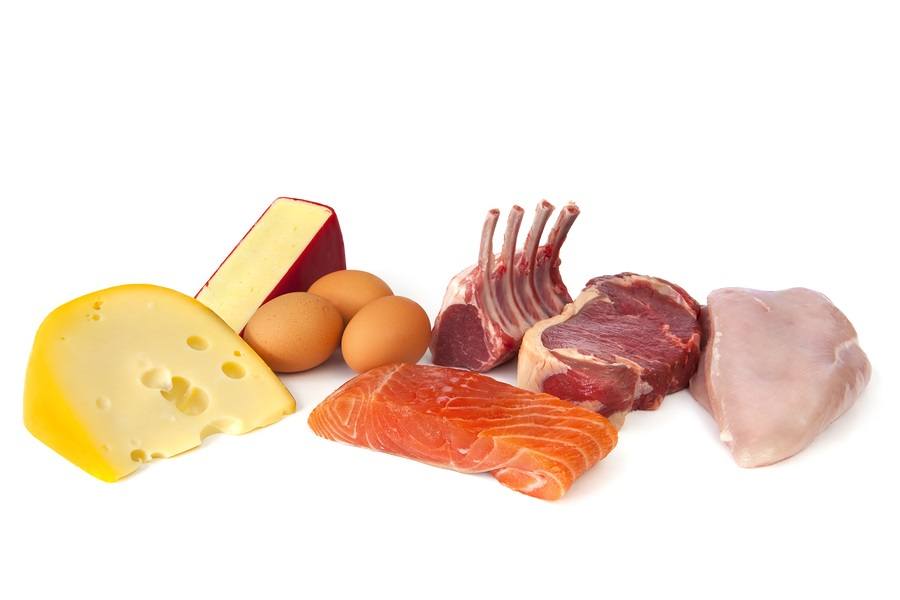 Protein And Saturated Fat