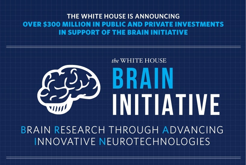brain_infographic-sm