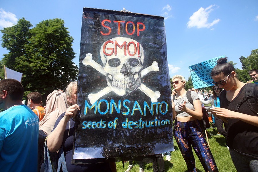 Breakthrough in explosive lawsuit against Monsanto Protest-Against-Monsanto