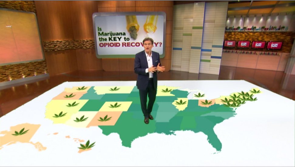 Dr.Oz.Opioid.Marijuana