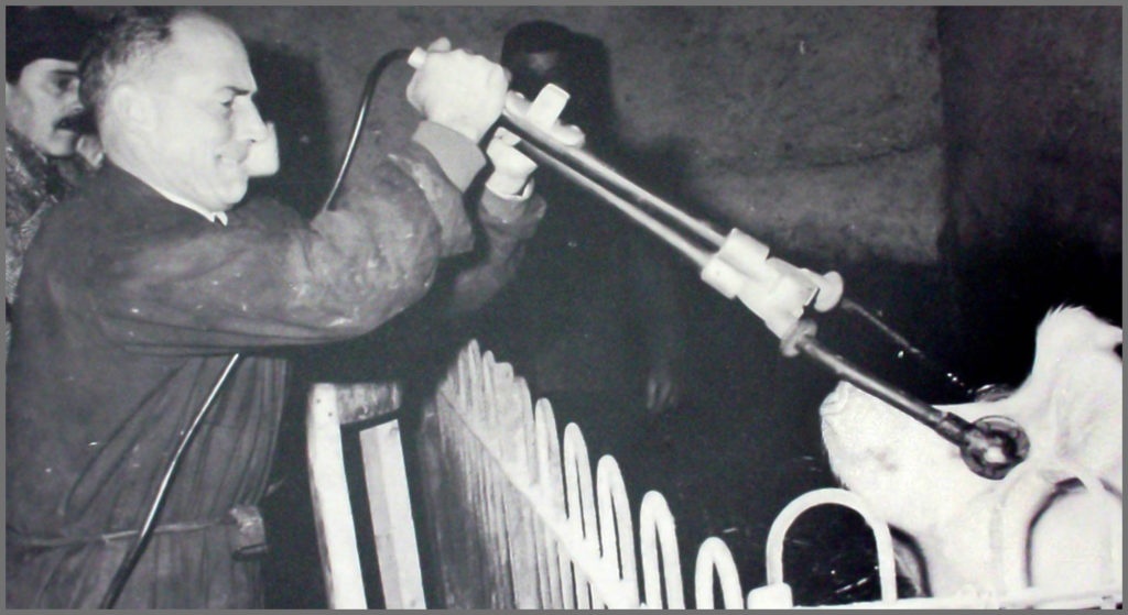 1.-Cerletti-and-pig-1-1024x559