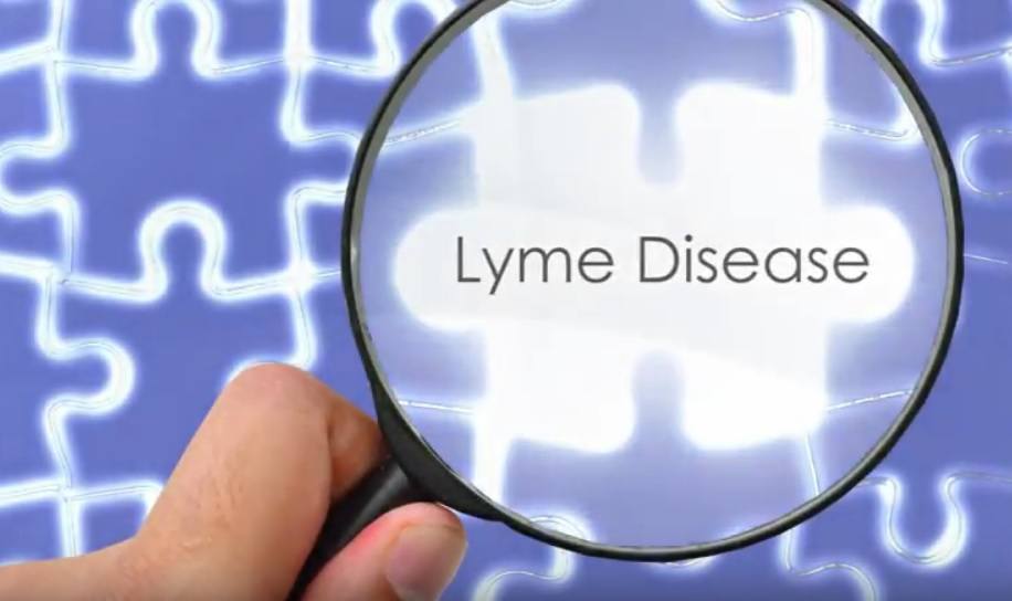 Lyme Disease Piece of Health Puzzle