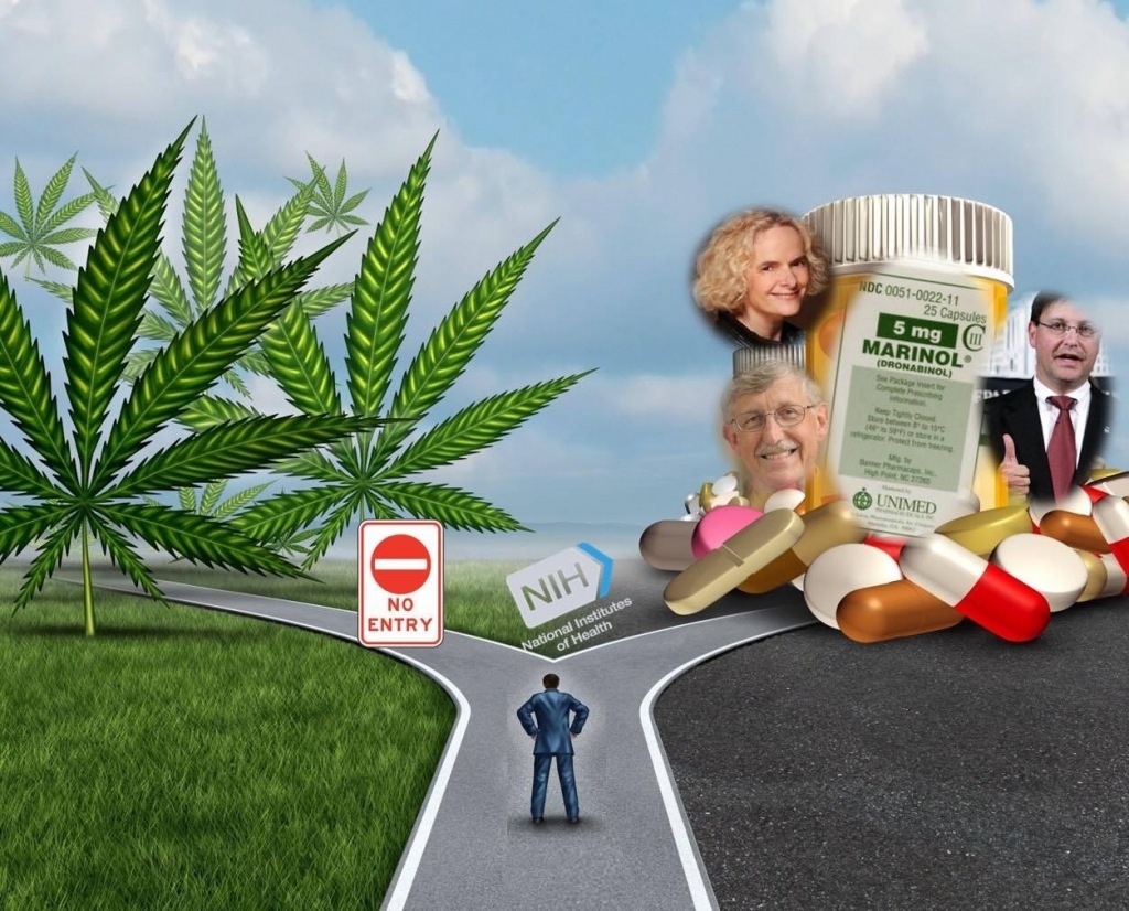 20641439_1825024217812082_1635372784_o