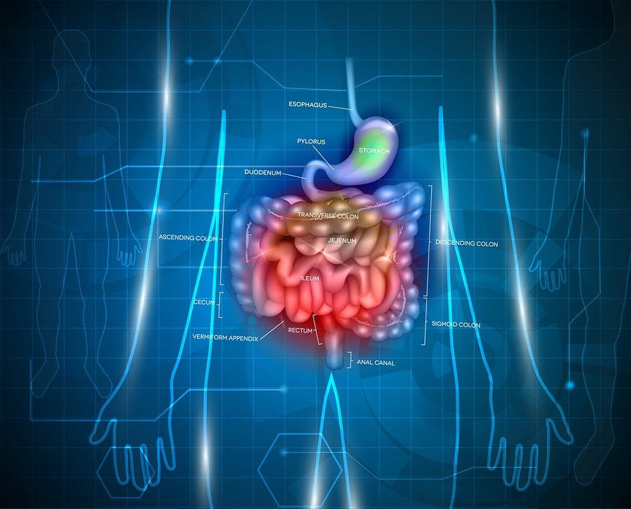 Gastrointestinal tract. Stomach small intestine and colon abstract blue technology background with lights and human silhouette.