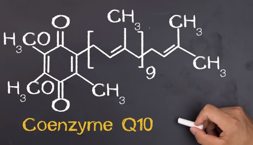 coenzyme q10