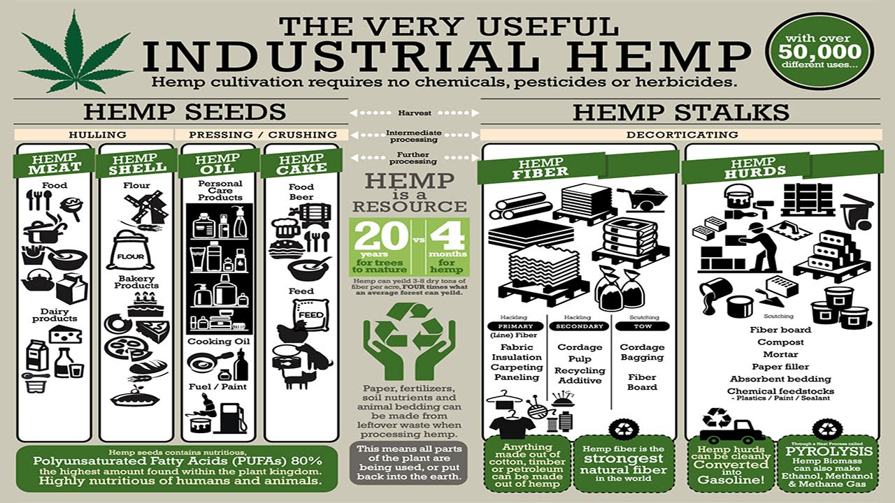 Cannabis and Hemp Gaining Legal Acceptance More Rapidly This Year