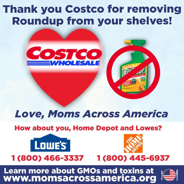 Costco-roundup-momsacrossamerica.jpg