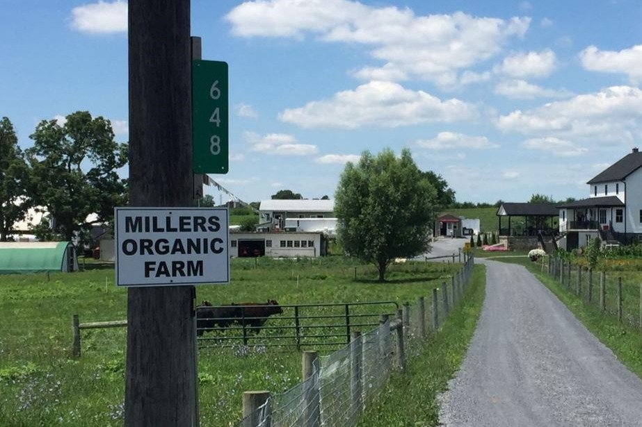 Millers Organic Farm