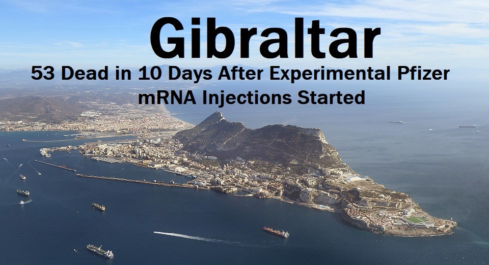 Wisconsin Resident Doctor has Miscarriage 3 Days After Being Injected with Experimental COVID mRNA Shot Gibraltar-Deaths-COVID-Injections