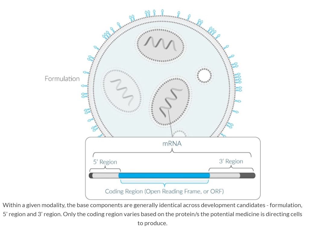 The New mRNA COVID Vaccines Inject an Operating System into Your Body – Not a Conspiracy Theory, Moderna Admits It MRNA-diagram