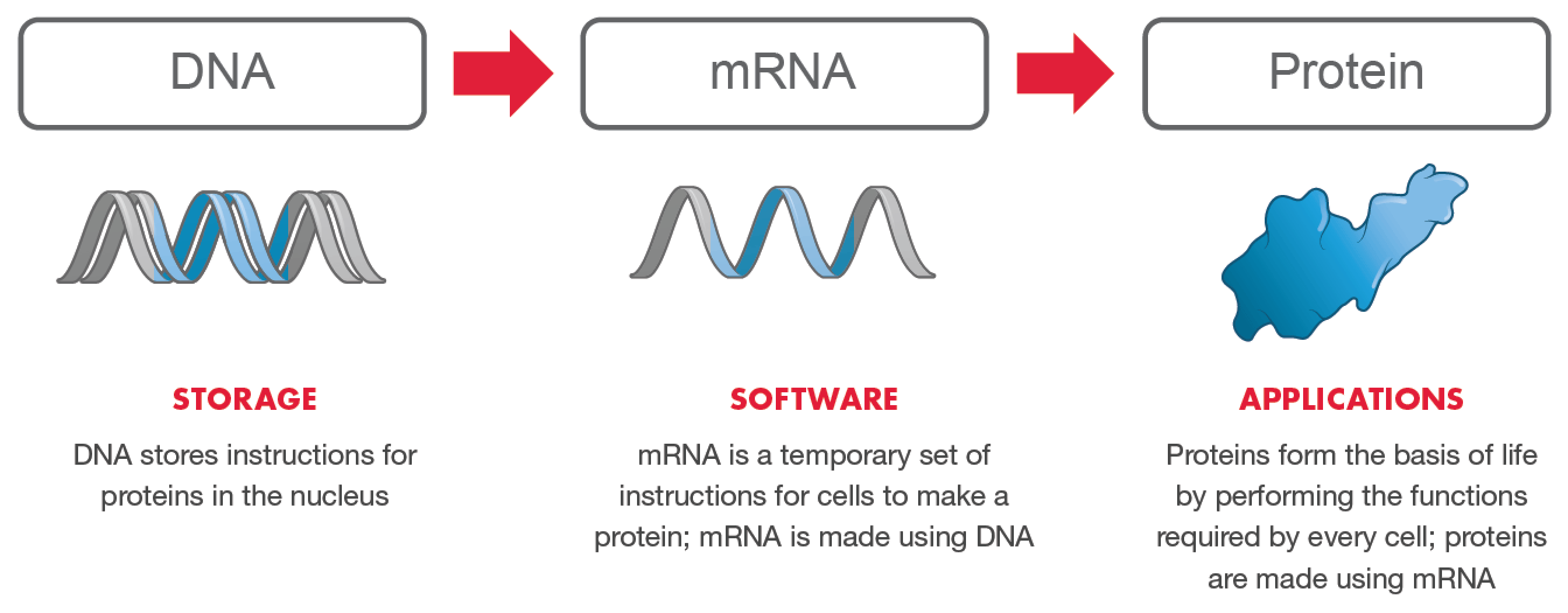 The New mRNA COVID Vaccines Inject an Operating System into Your Body – Not a Conspiracy Theory, Moderna Admits It Software-of-life