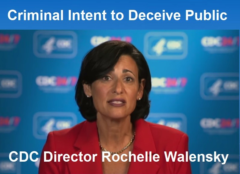 Rochelle Walensky Criminal