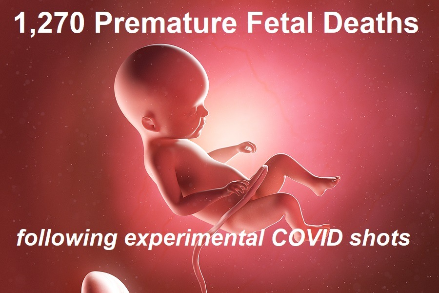 cdc-s-own-stats-show-1-270-premature-fetal-deaths-following-covid-shots