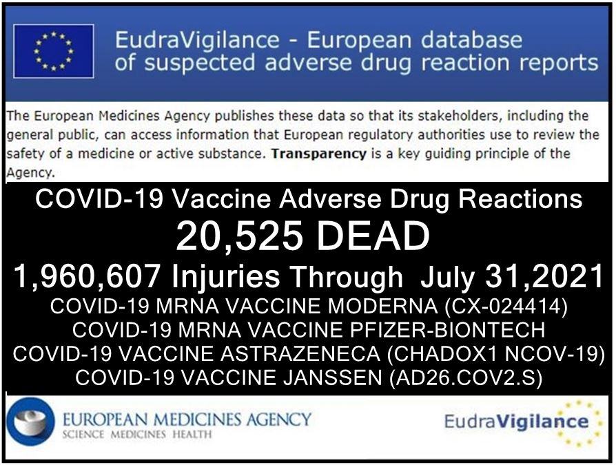 31072021-EudraVigilance-deaths-injuries.jpg