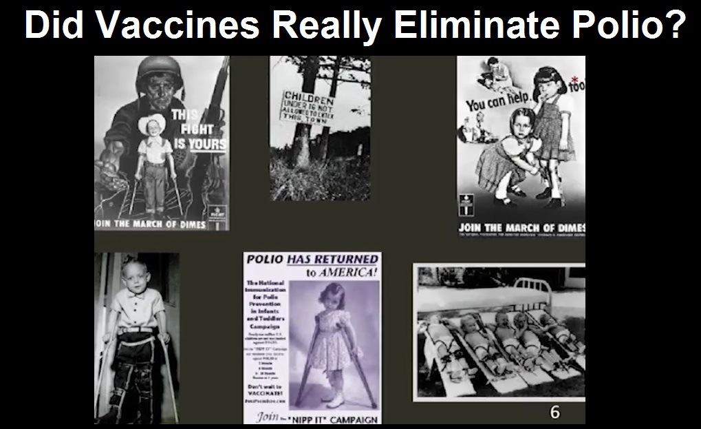 did vaccines eliminate polio 2