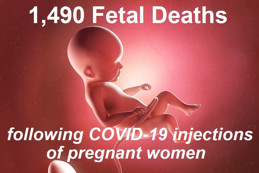 [Image: fetal-deaths-vaers-8.27.jpg]