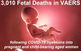 3d rendered medically accurate illustration of a fetus at week 22