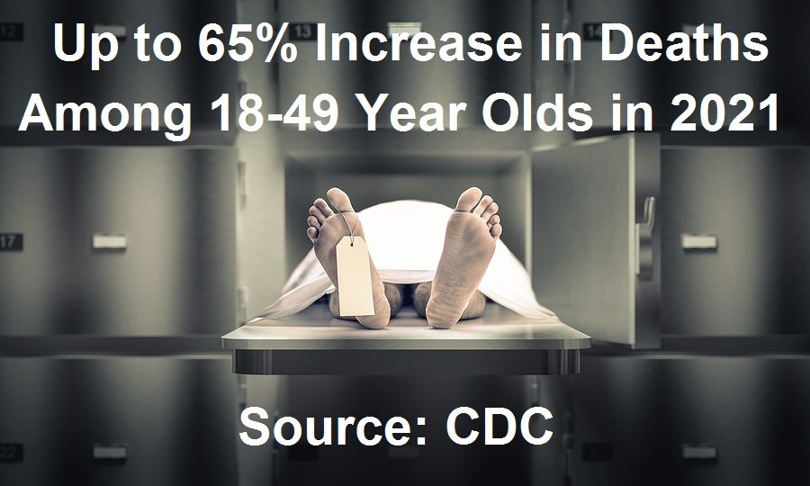 65-percent-increase-in-deaths.jpg