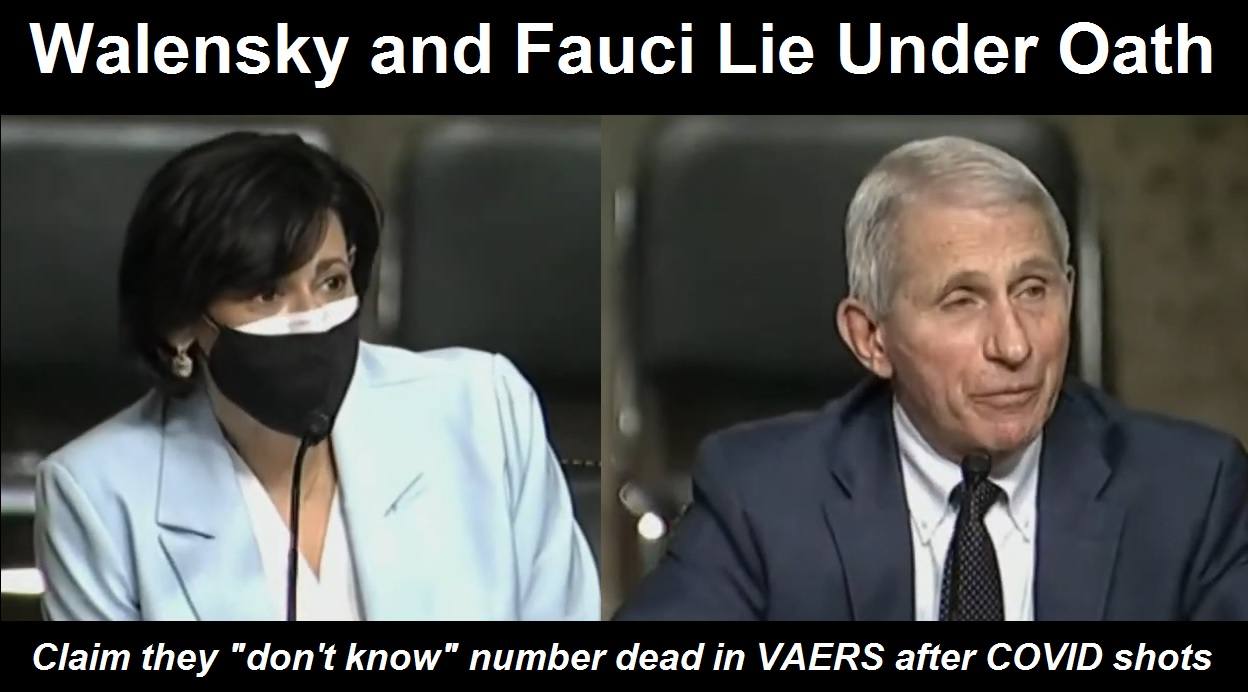 walensky fauci lie under oath