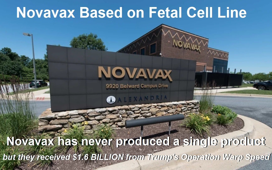 Novavax fetal cell lines 2