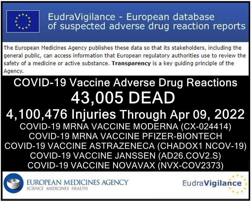 eudravigilance-4.9.23.jpg