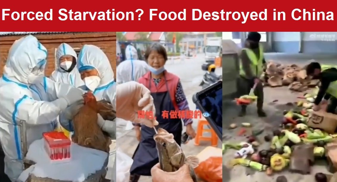 food destruction in China starvation