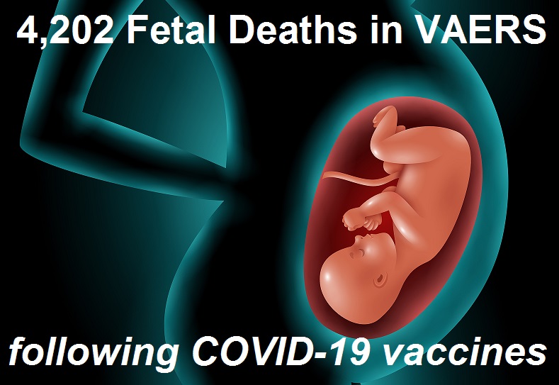 FDA had Data Showing 82% – 97% of Pregnant Women Injected with the Pfizer COVID-19 Vaccine Lost Their Babies Before Approving the Shots
