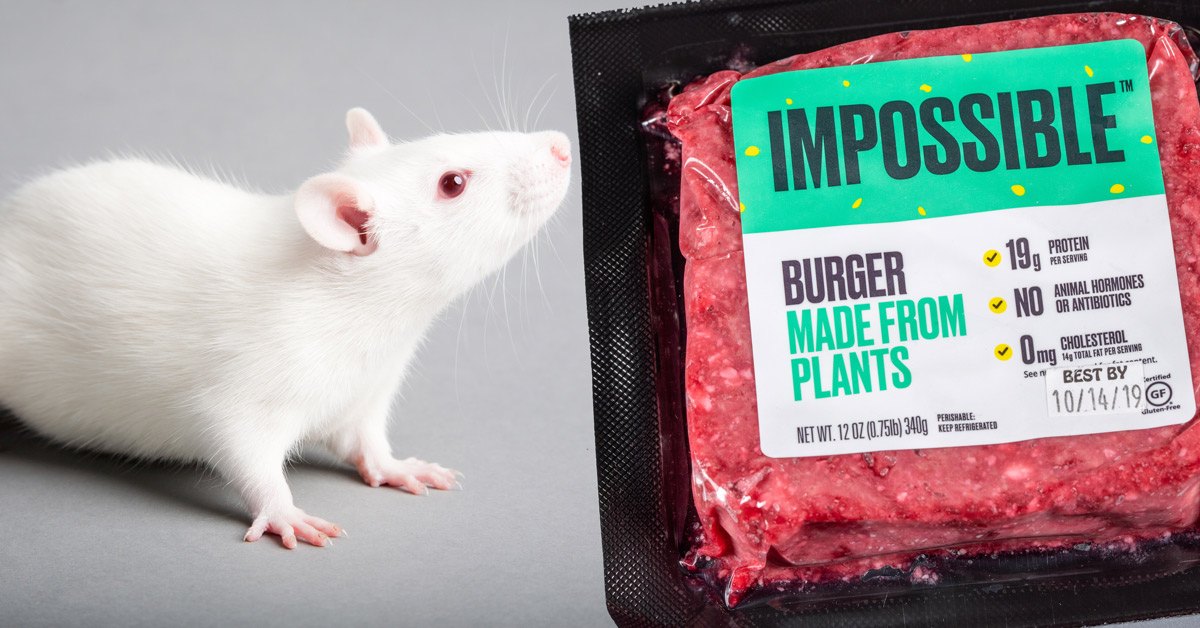 Rat-and-impossible-burger